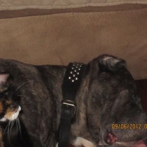 Meet your Posher, Sharp